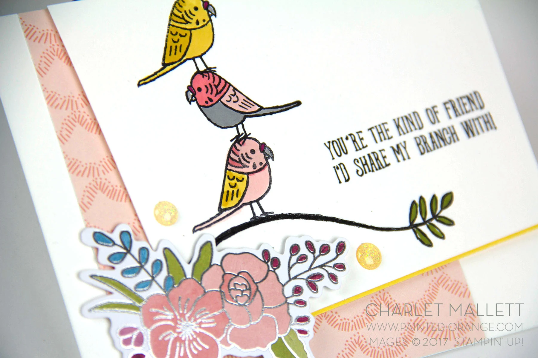 Bird Banter OSDS4a.jpg