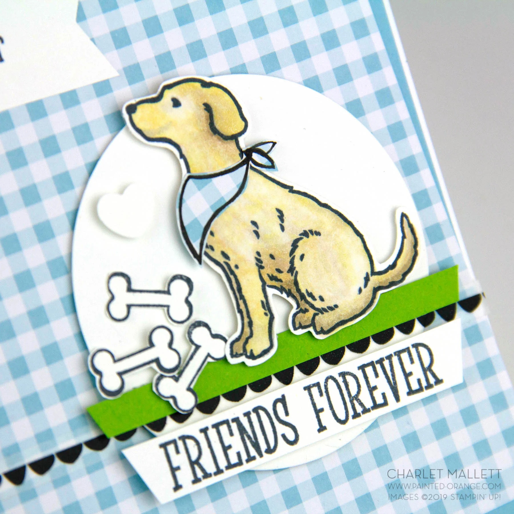 Happy Tails.jpg