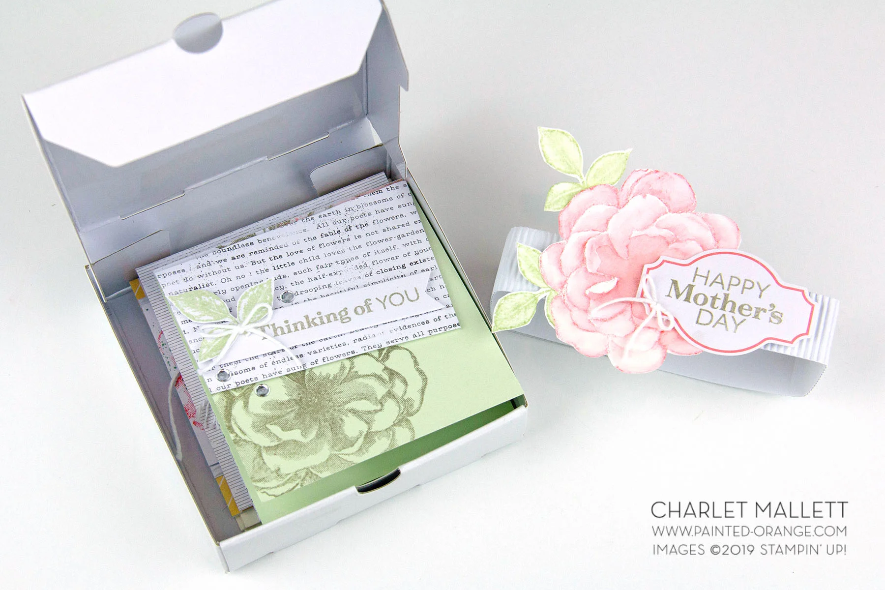April 2019 Paper Pumpkin - Sentimental Rose - Charlet Mallett Stampin’ Up!