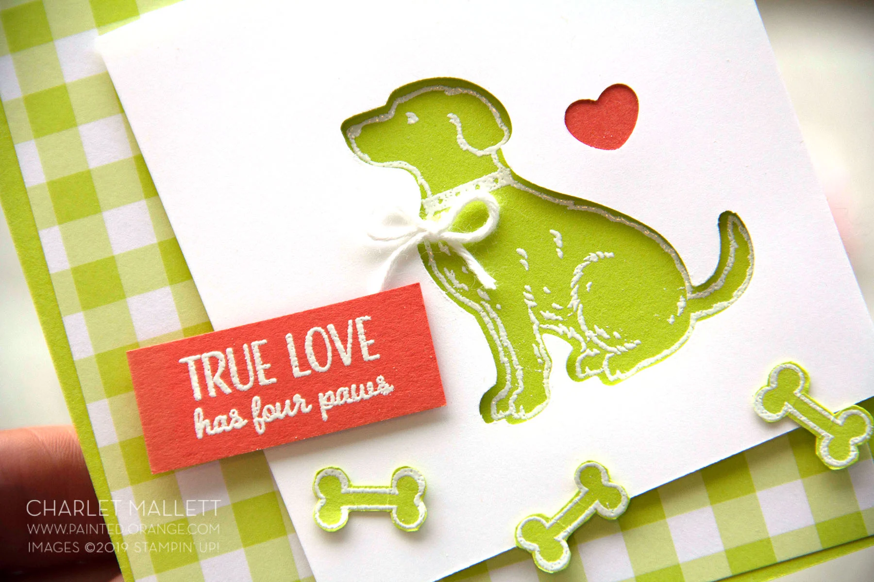 Happy Tails Dog lover card - Charlet Mallett, Stampin’ Up!