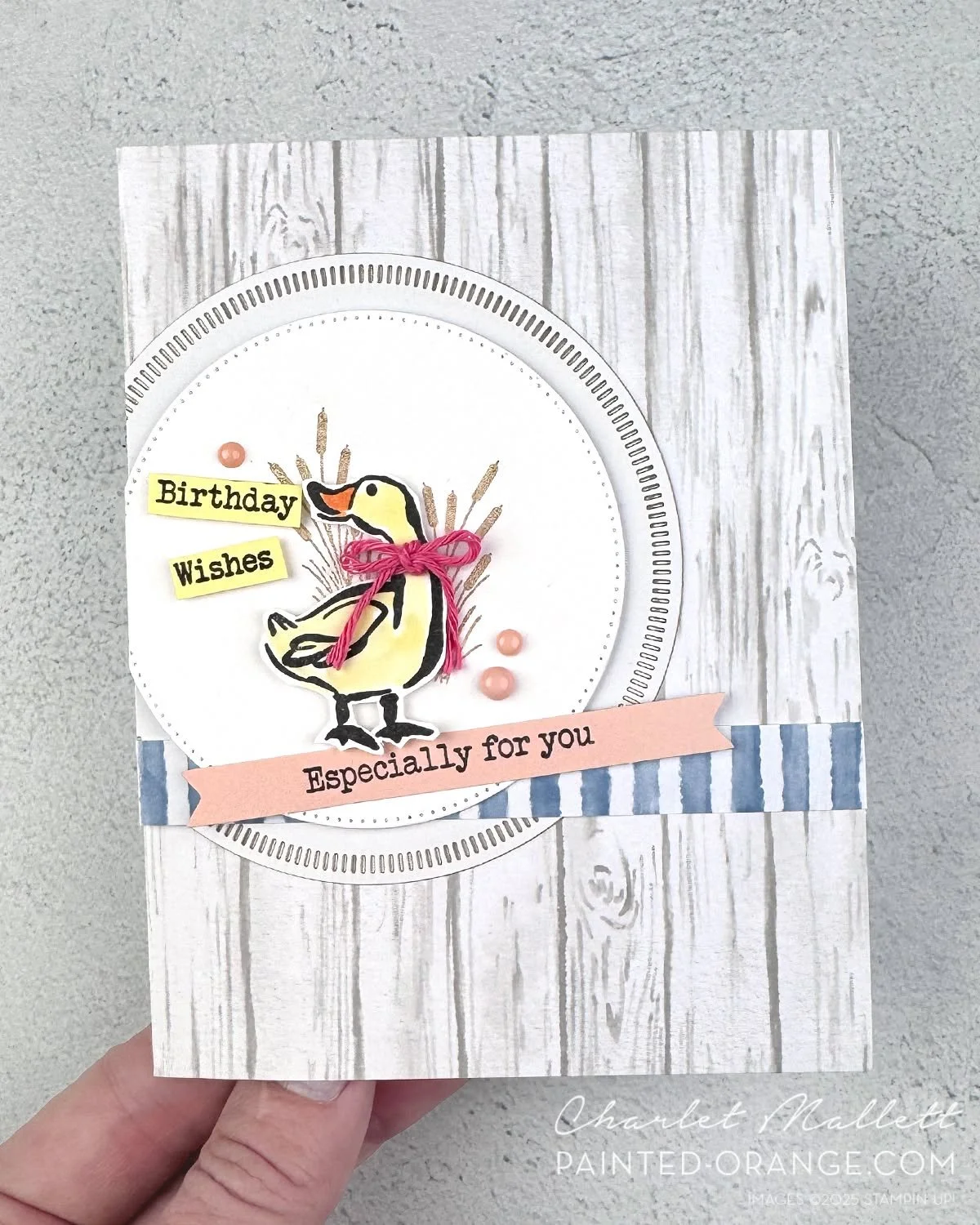 Quack, quack! Wishing a happy birthday wishes to my dear Aunt Julie. LOVE YOU!

This card was inspired by @global_design_project sketch #gdp546 - That cute duck image and sentiment are from the 'Notes of Spring' stamp set. I paired with some pieces f