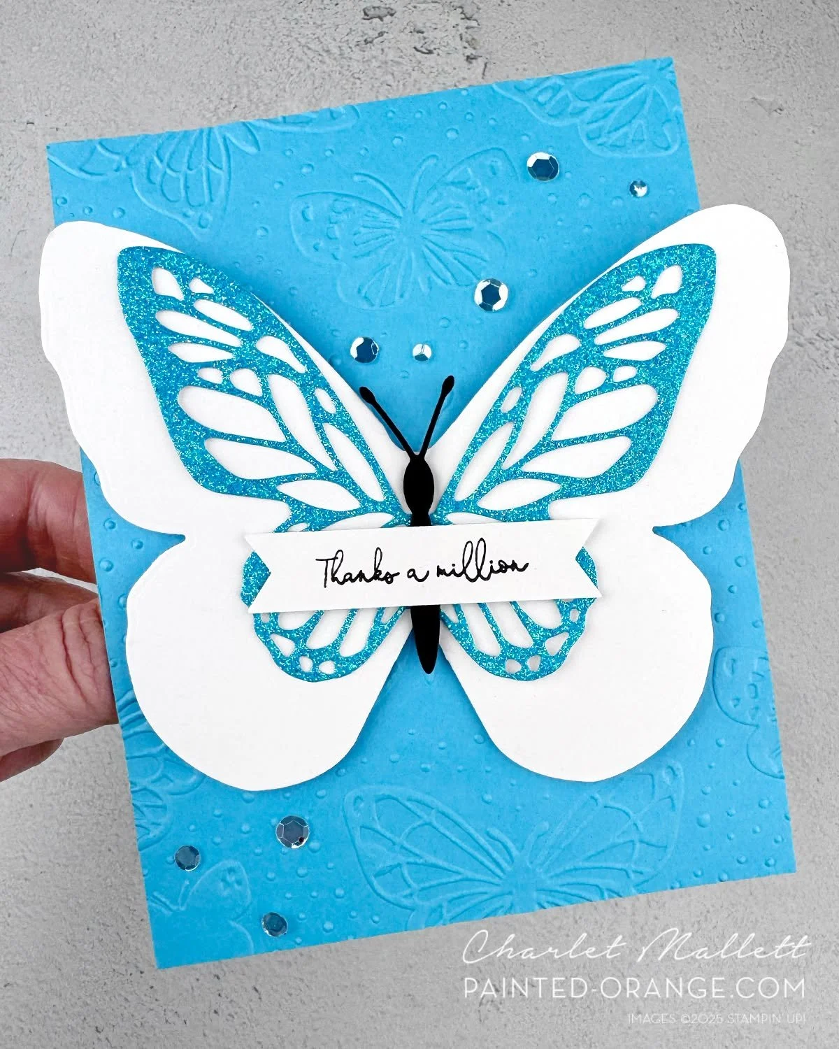 It's time for the Monday Montage Inspiration Hop where my freinds and I share projects we are working on. This weekend I shared a card for USE YOUR STASH featuring specialty glitter paper. I created a second card using goodies from my craft room. The