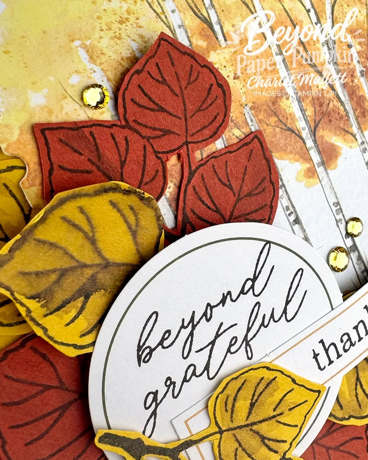 Happy Fall friends! Our Beyond Paper Pumpkin September 2026 tutorial, featuring the 'Aspens of Gratitude' Kit, is now available. Here is a sneak peek of my project. I used the add-on stamp set and stretched my kit supplies to make a great card.

The 