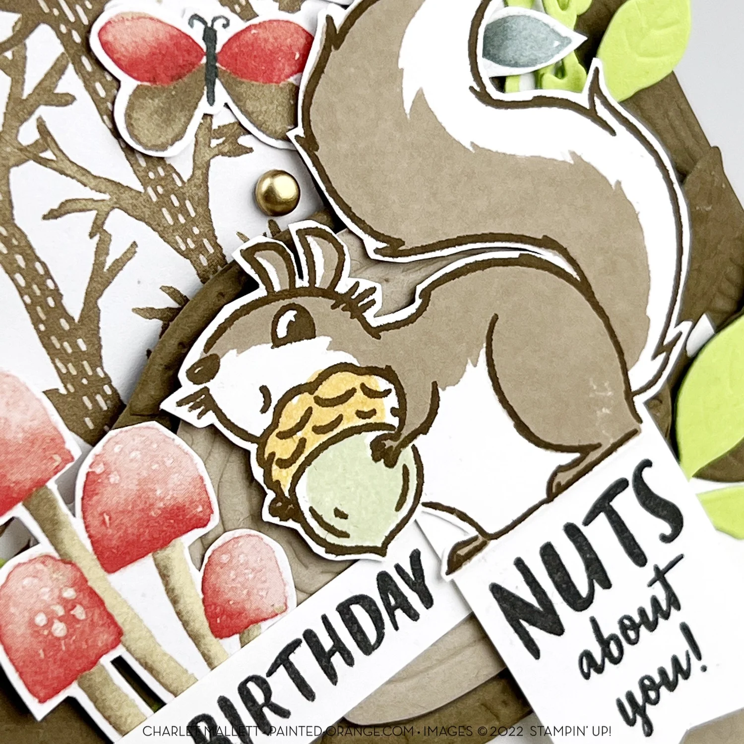 Stamp Review Crew - Nuts About Squirrels — Painted Orange