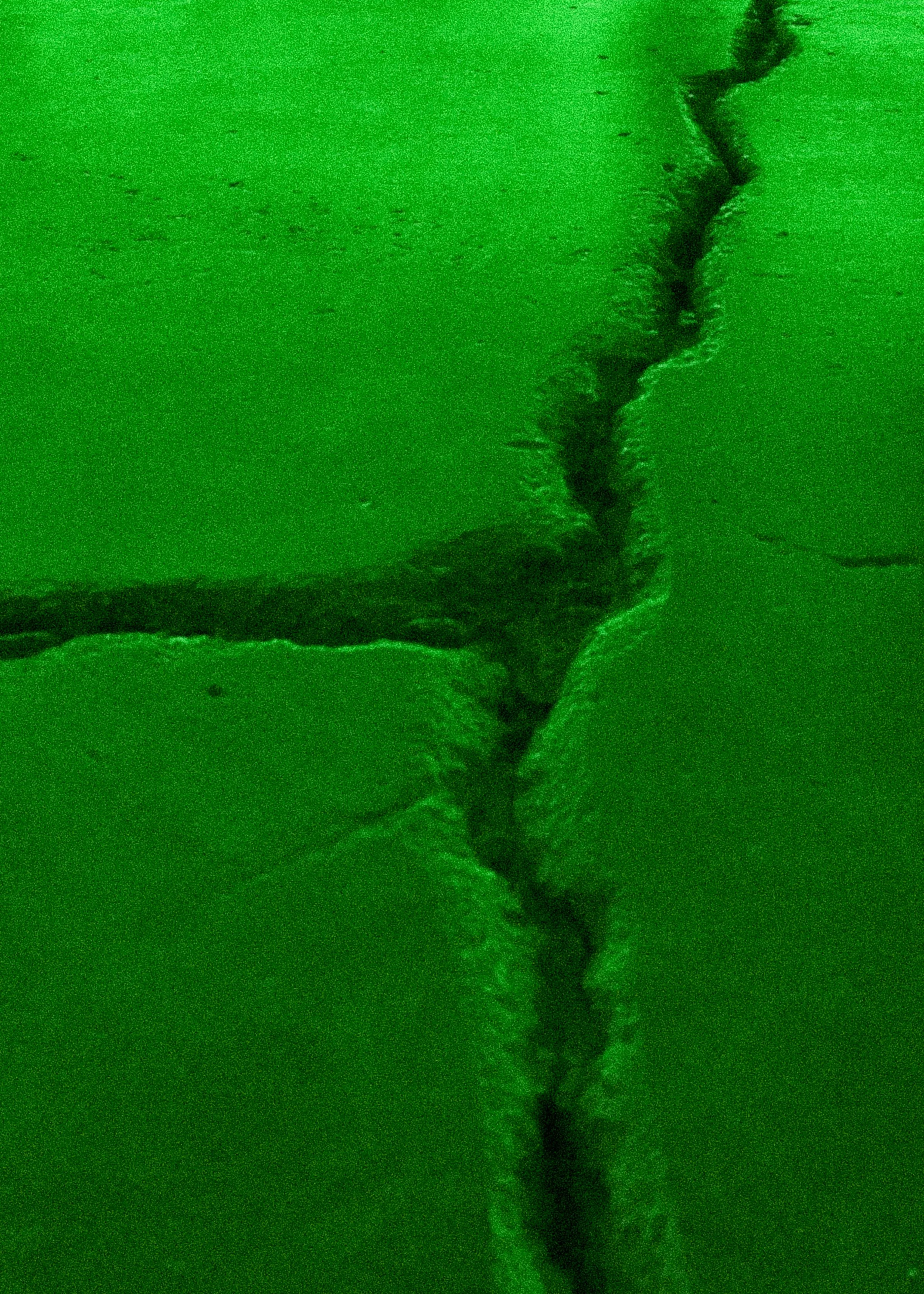 In The Face Of It All