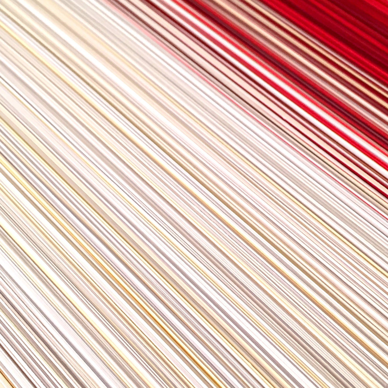 2015-09-23 22.24.03.jpg