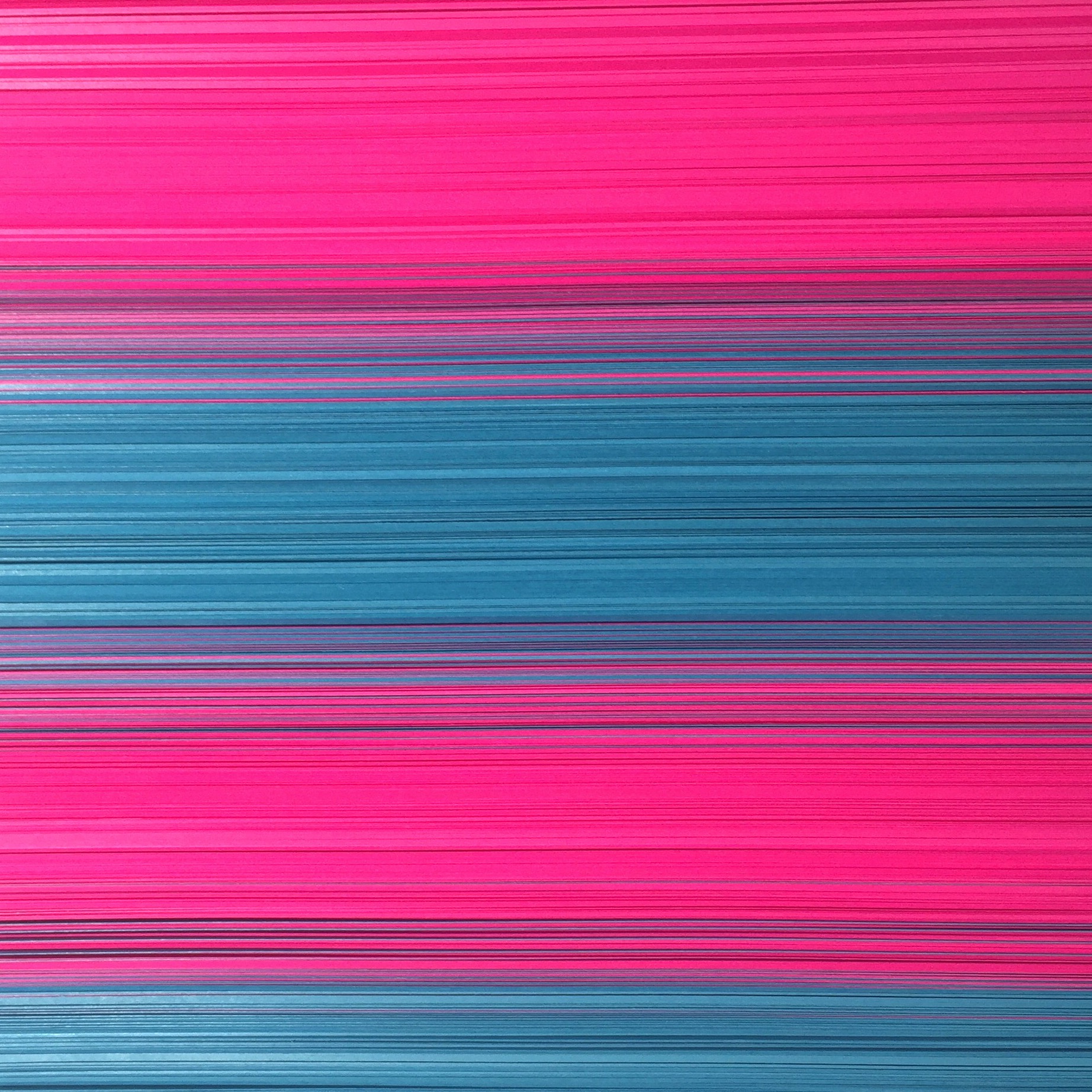 2017-02-08 05.56.13.jpg