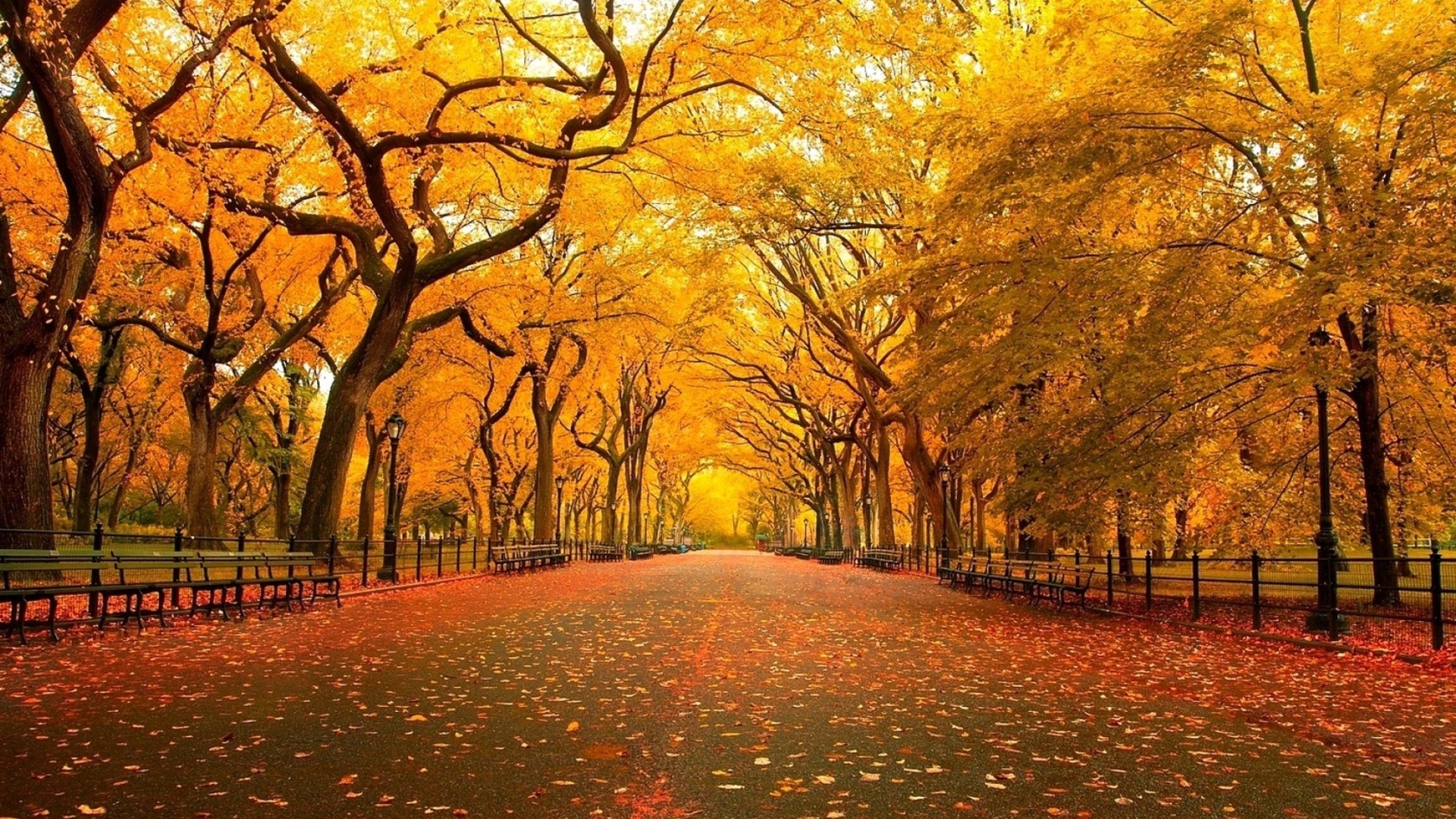 CentralPark.jpg