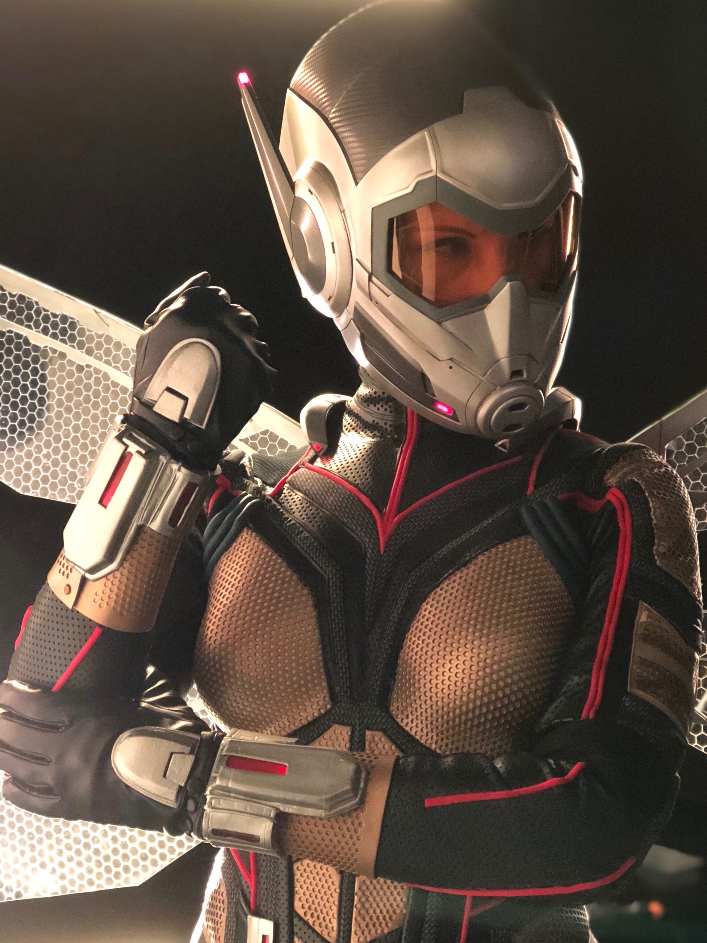   Beverly Downen  as Wasp 