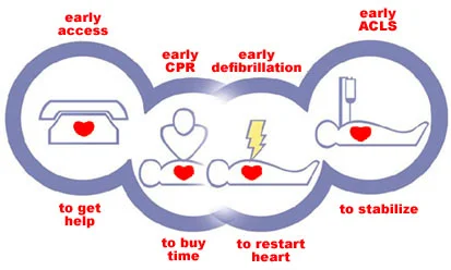 Sudden cardiac arrest chain of survival 