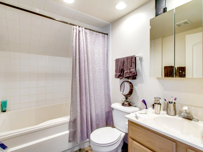1938-1942 North Halsted Interior Bathroom Chicago TARIS Real Estate