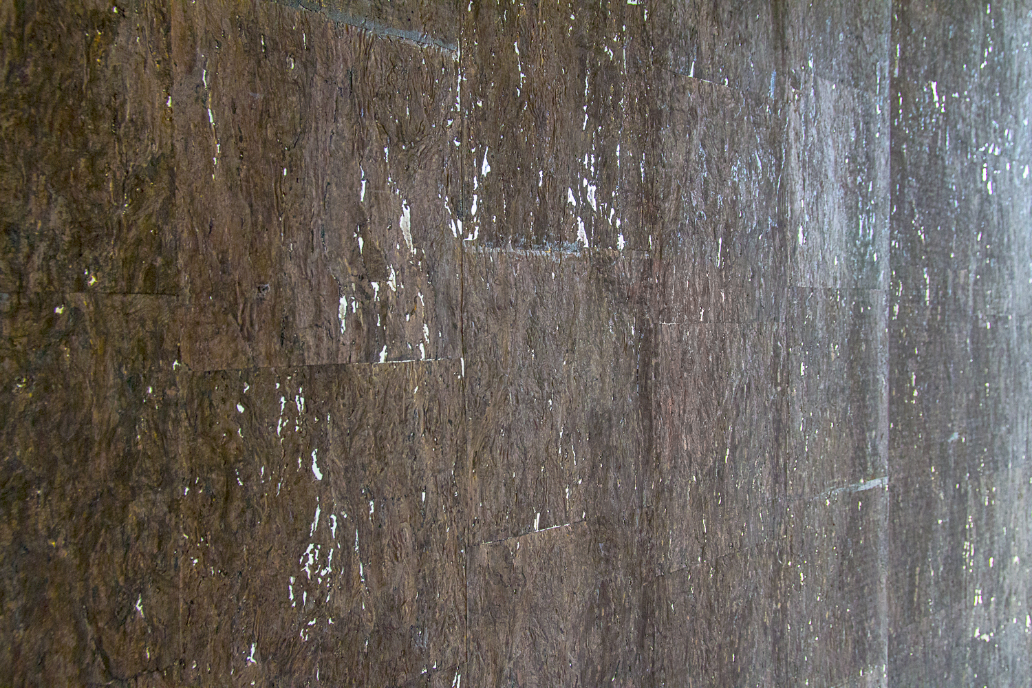 2442 West Ohio Chicago Interior Living Room Wall Detail TARIS Real Estate