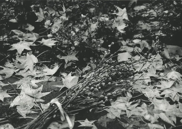 Midori Okuyama