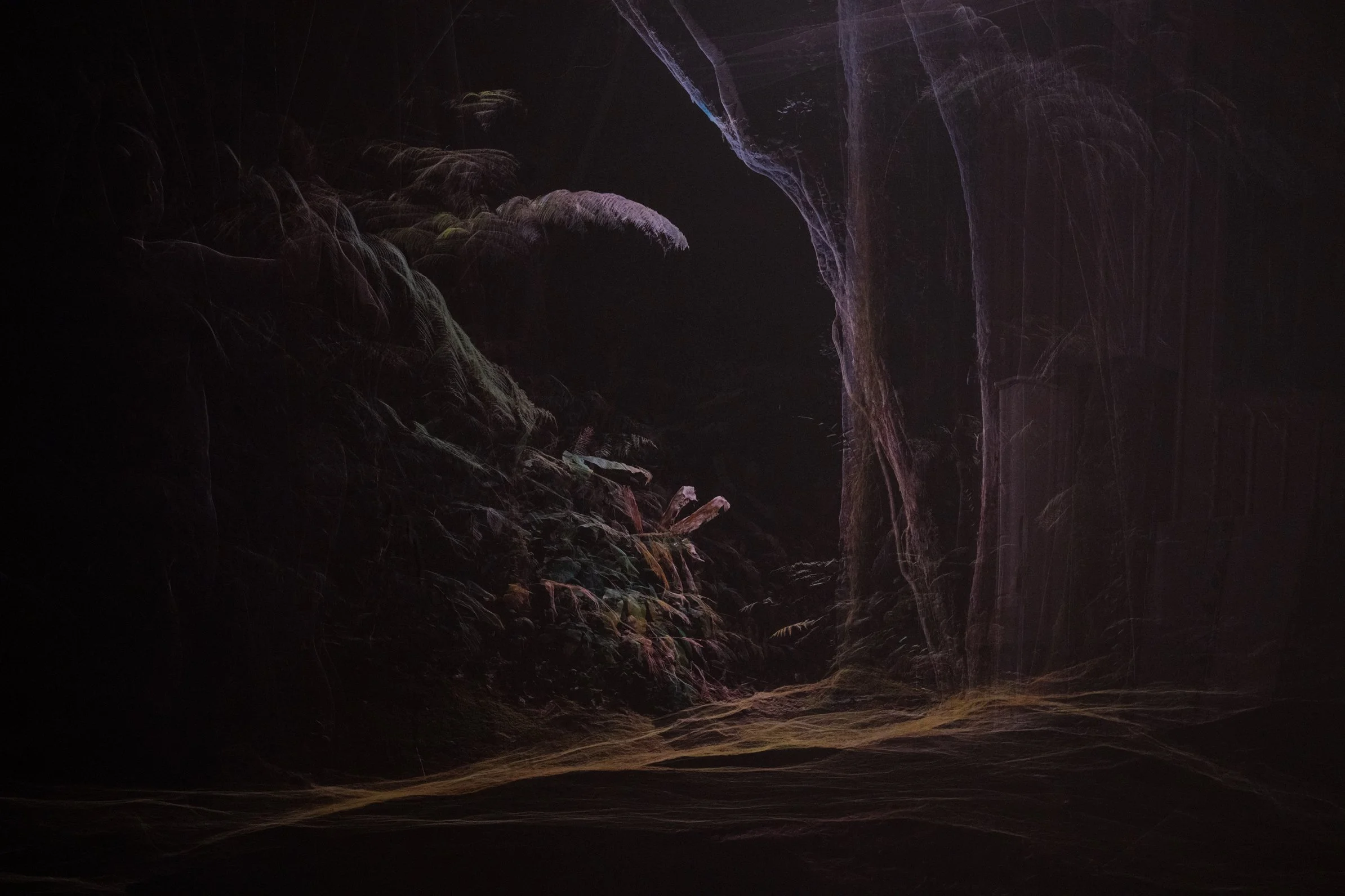 to paradise / all your names in one - installation documentation