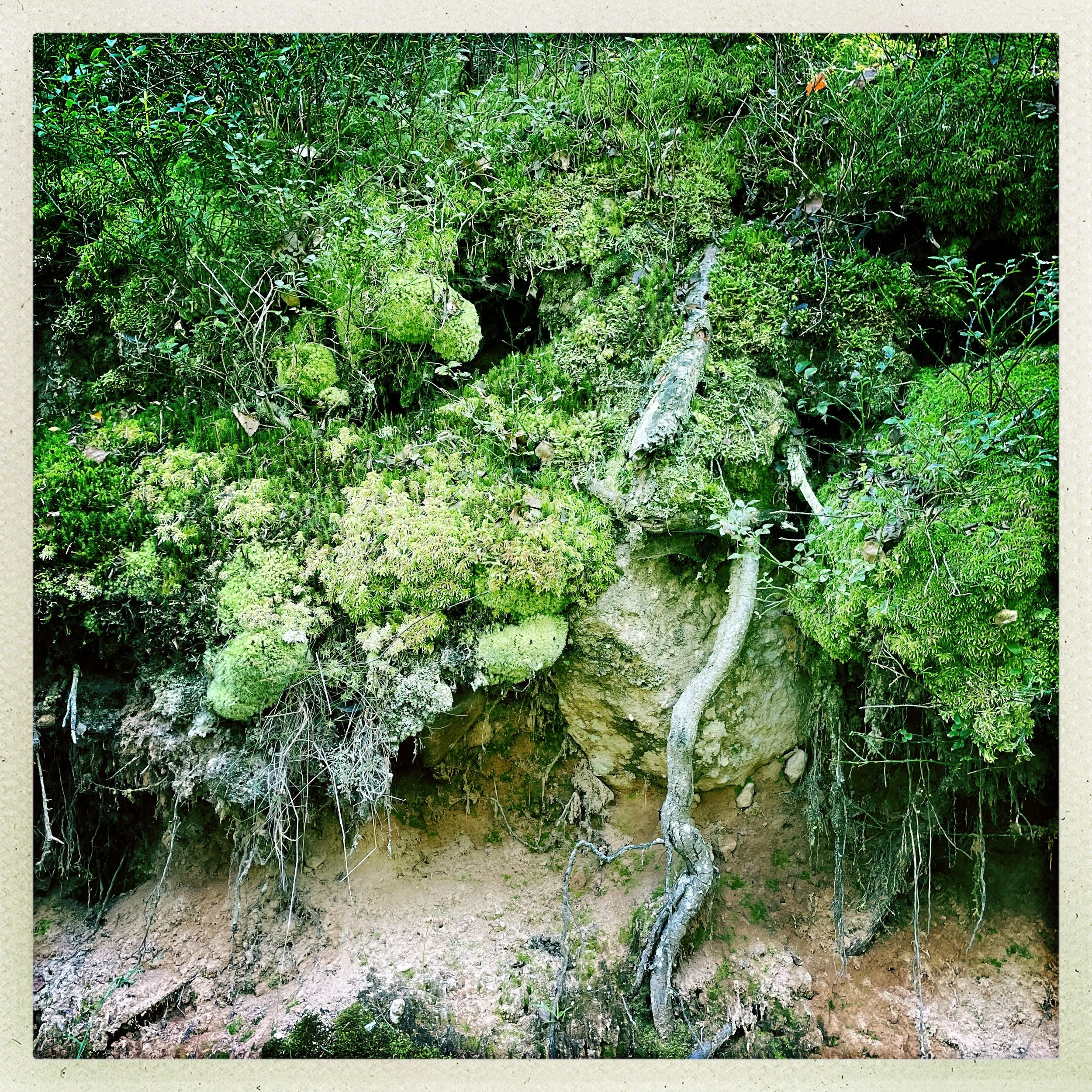 Ein klarer, fließender Bach im Wald als Symbol für aktive Meditation und gelöste Blockaden.
