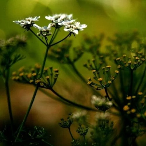 Ein paar Gedanken zur Liebe ...