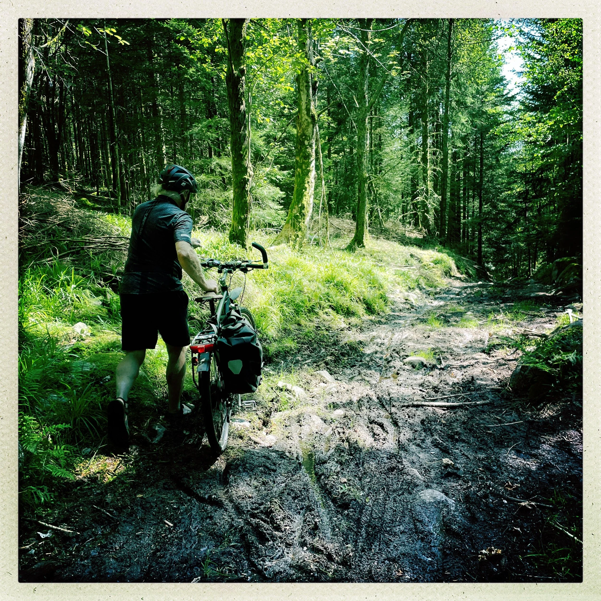 Ein Mann mit Fahrrad in einem grünen Wald, trägt einen Helm und eine schwarze Jacke.