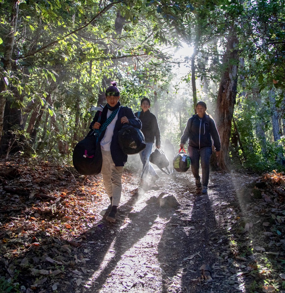 Intersessions &amp; Internships