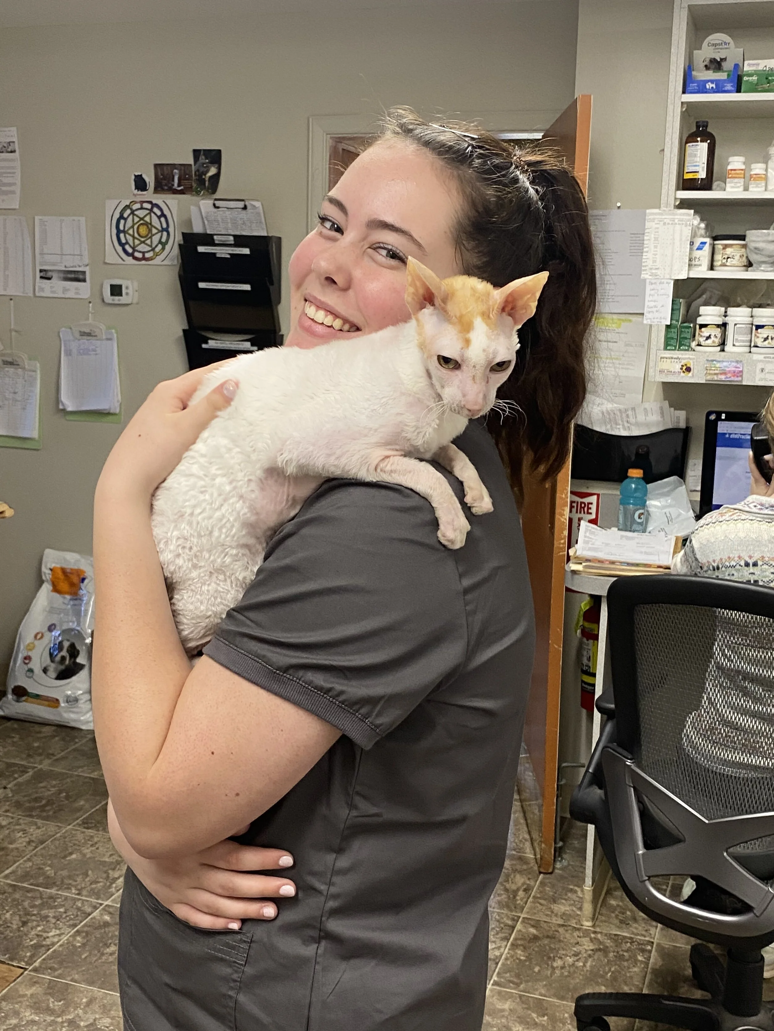 intersession &amp; internships