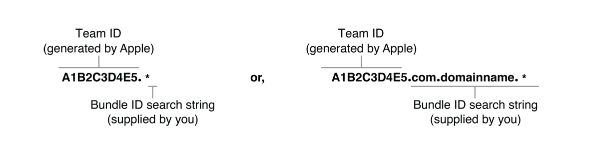 Here's a self explanatory image, which also indicates that there are two types of APP IDs: explicit App ID (left side) and wildcard App IDs (right side). More info about App IDs types here .