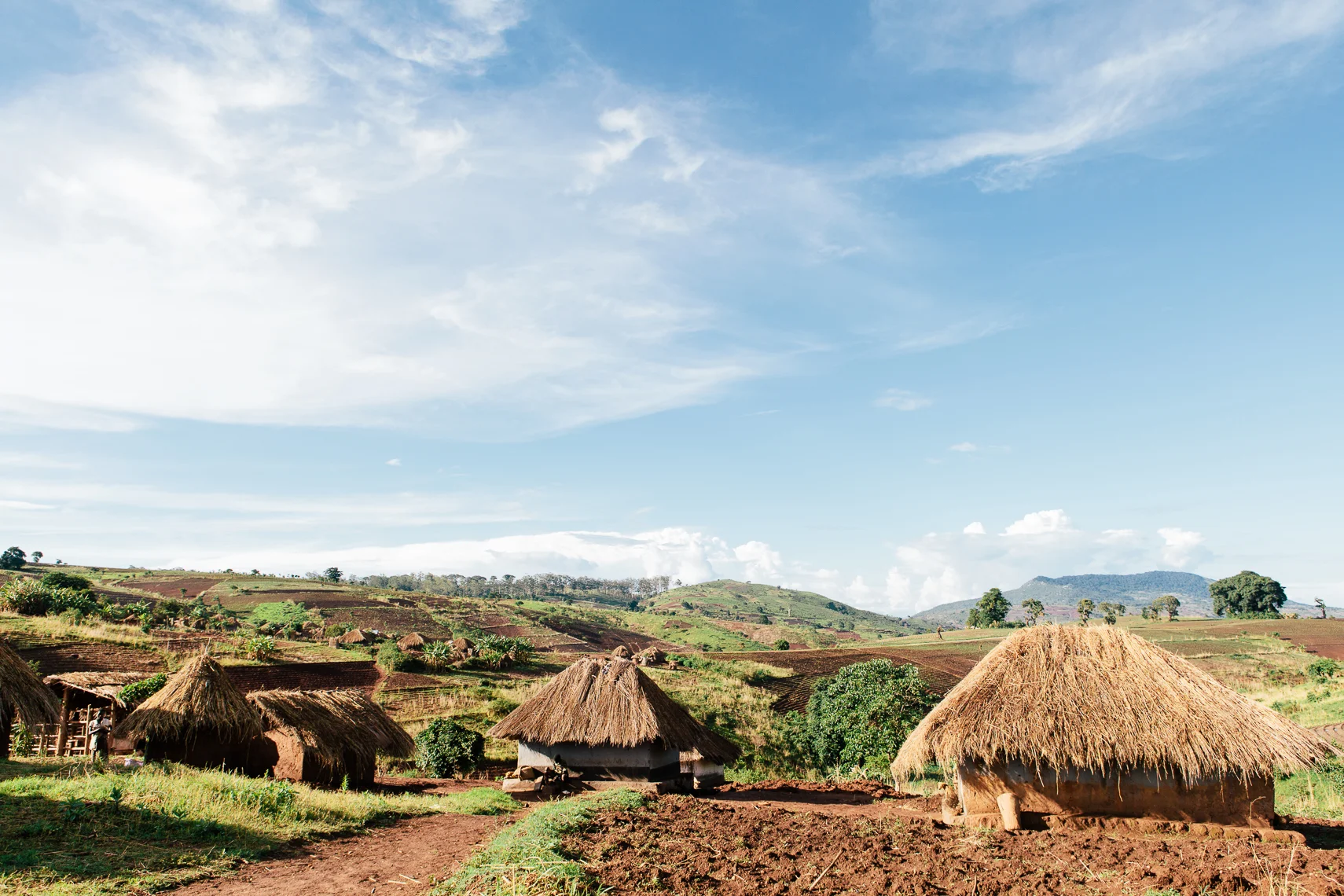 NC_Edited_NP Malawi WR-45.jpg