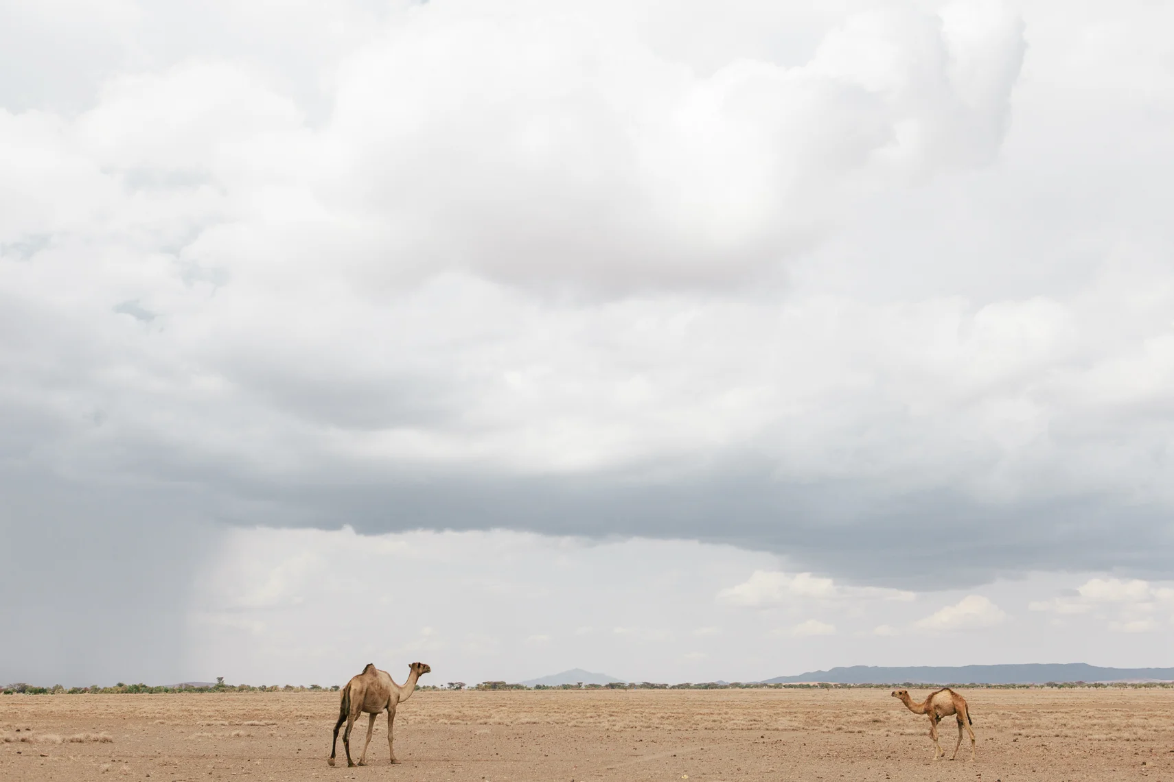 NC_Edited_NP Turkana WR-21.jpg