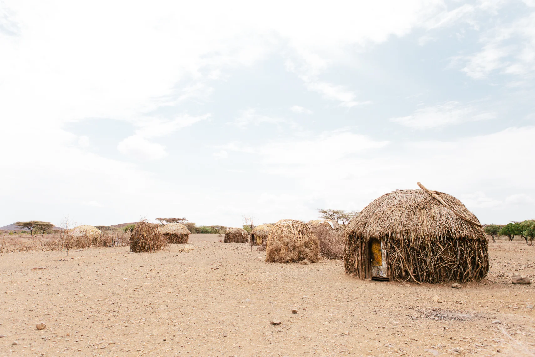 NC_Edited_NP Turkana WR-47.jpg