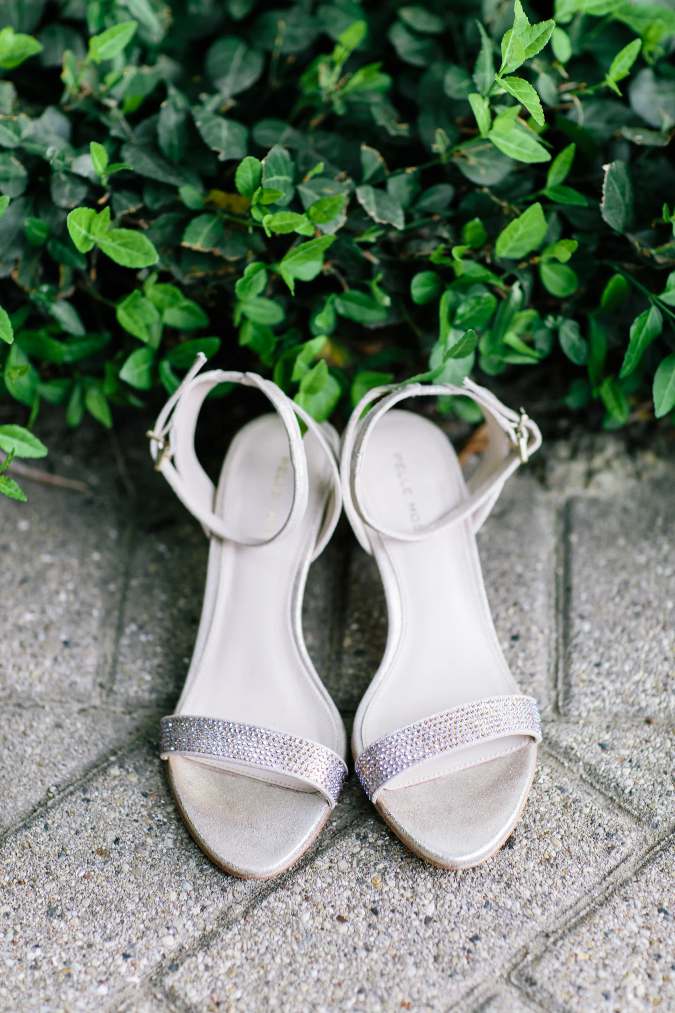 Nicodem Creative_Deli Wedding (Blog)-2.jpg