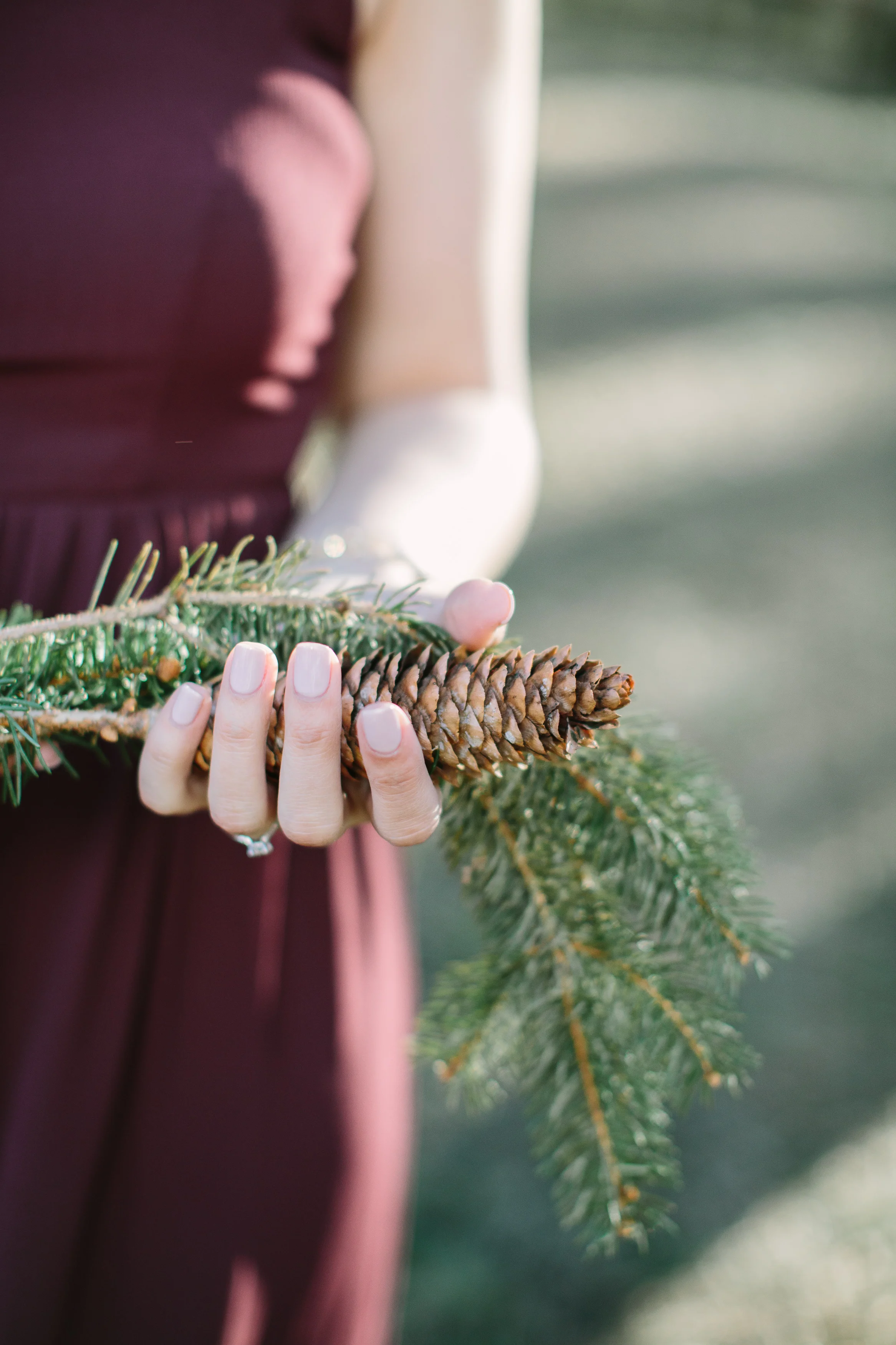 Nicodem Creative_Leung Engagement_Morton Arboretum-7.jpg