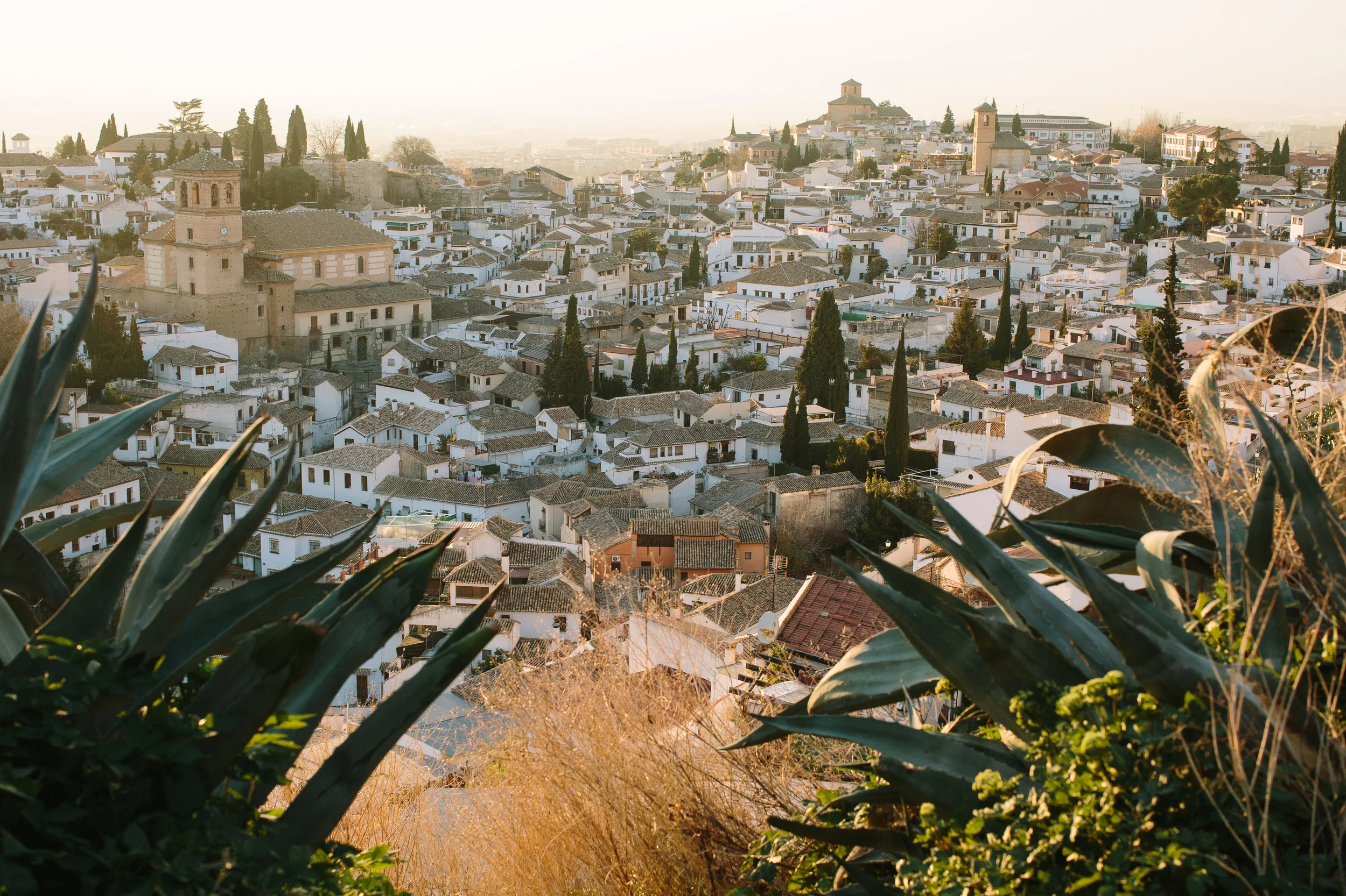 Nicodem Creative_Granada-9.jpg