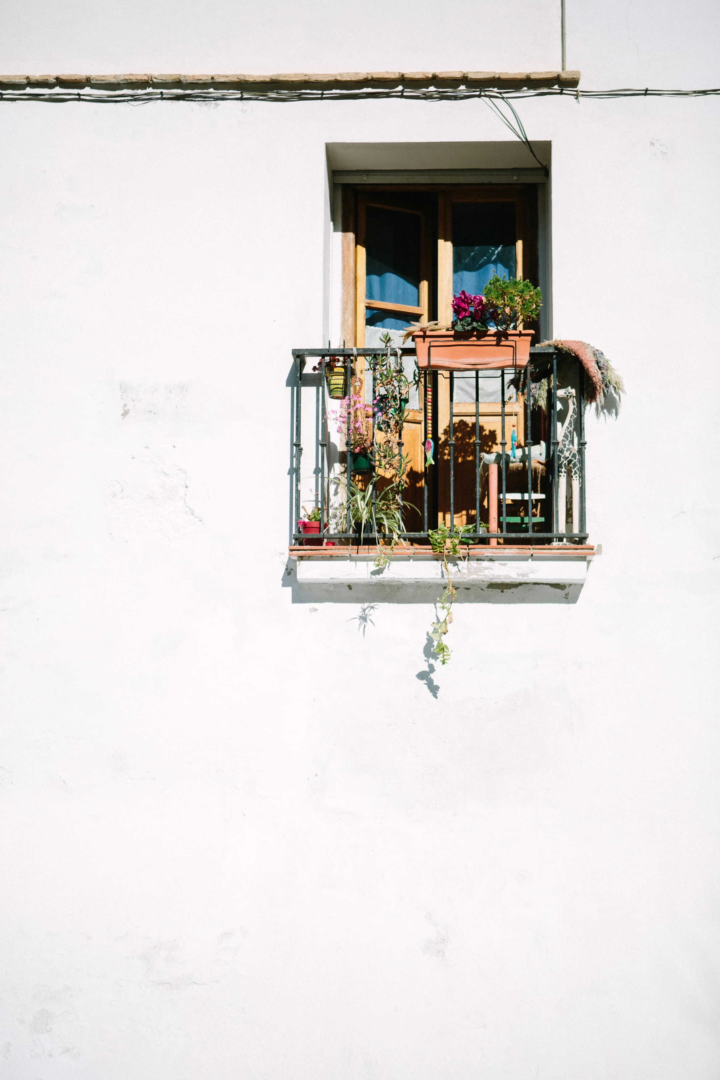 Nicodem Creative_Granada-11.jpg