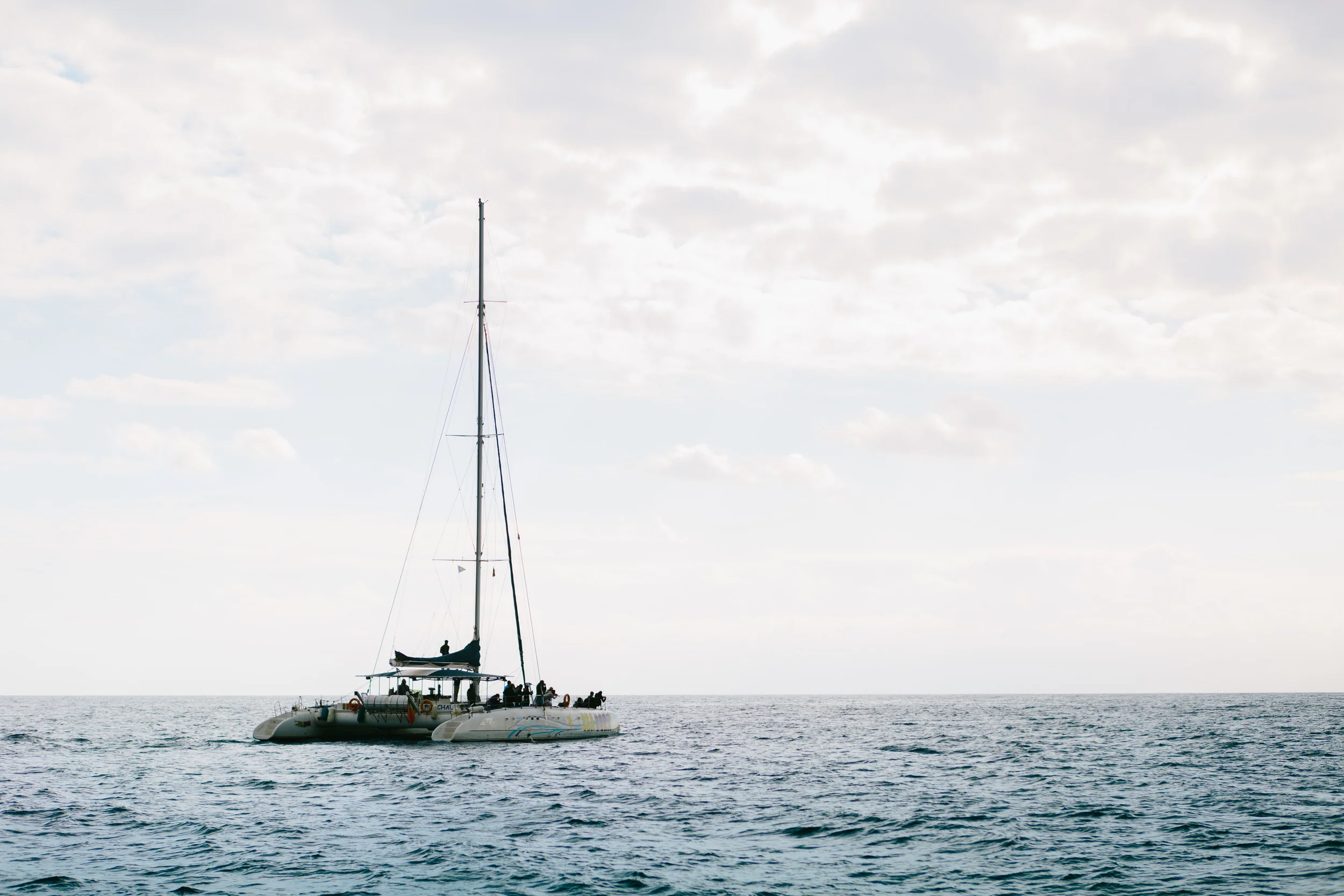 Nicodem Creative_Madeira-15.jpg