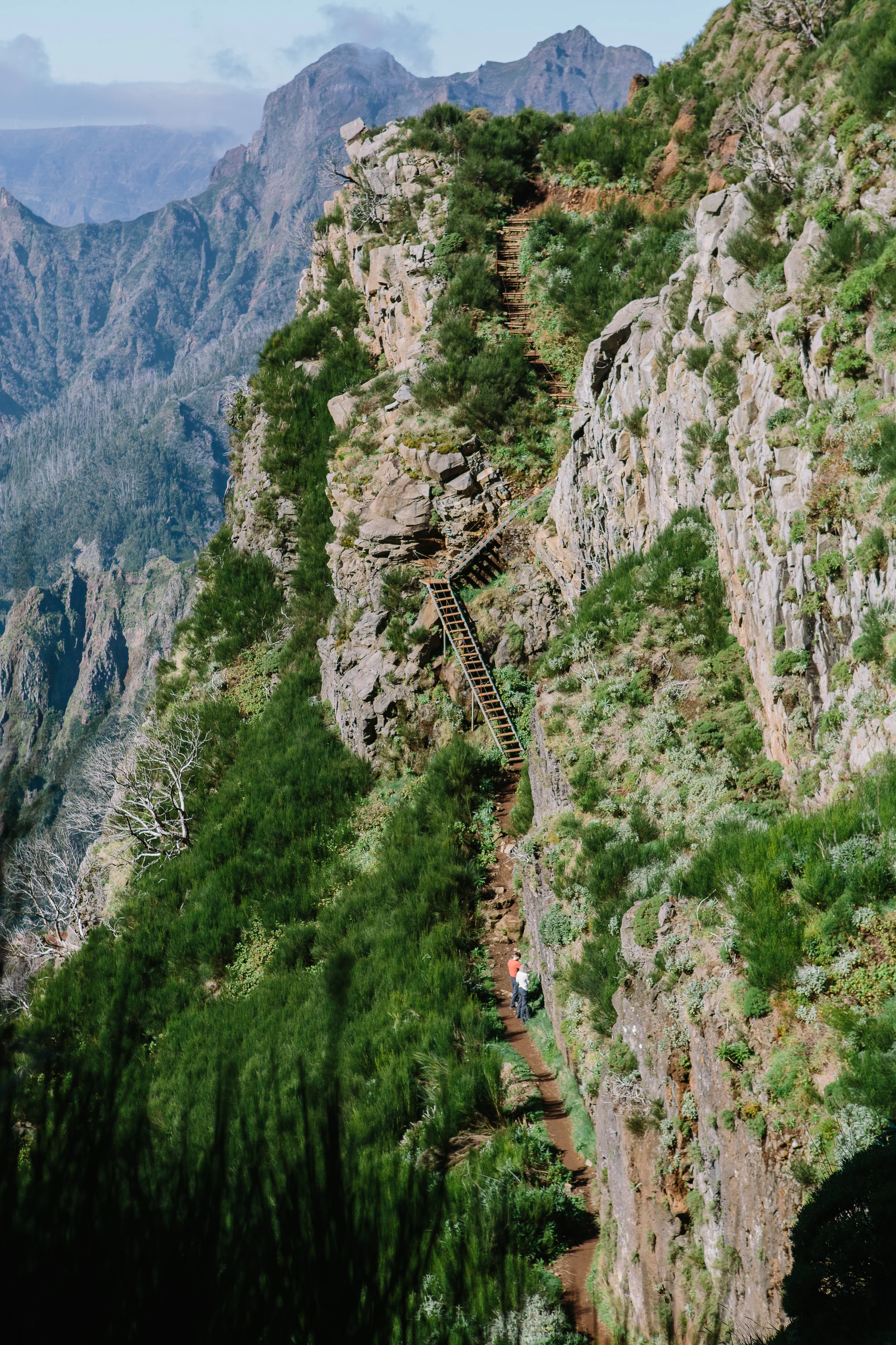 Nicodem Creative_Madeira-24.jpg