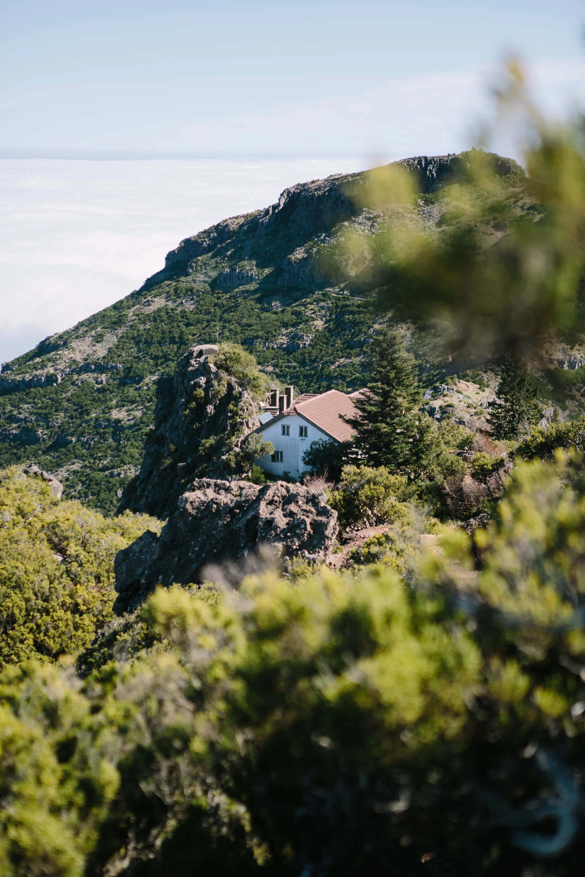 Nicodem Creative_Madeira-26.jpg