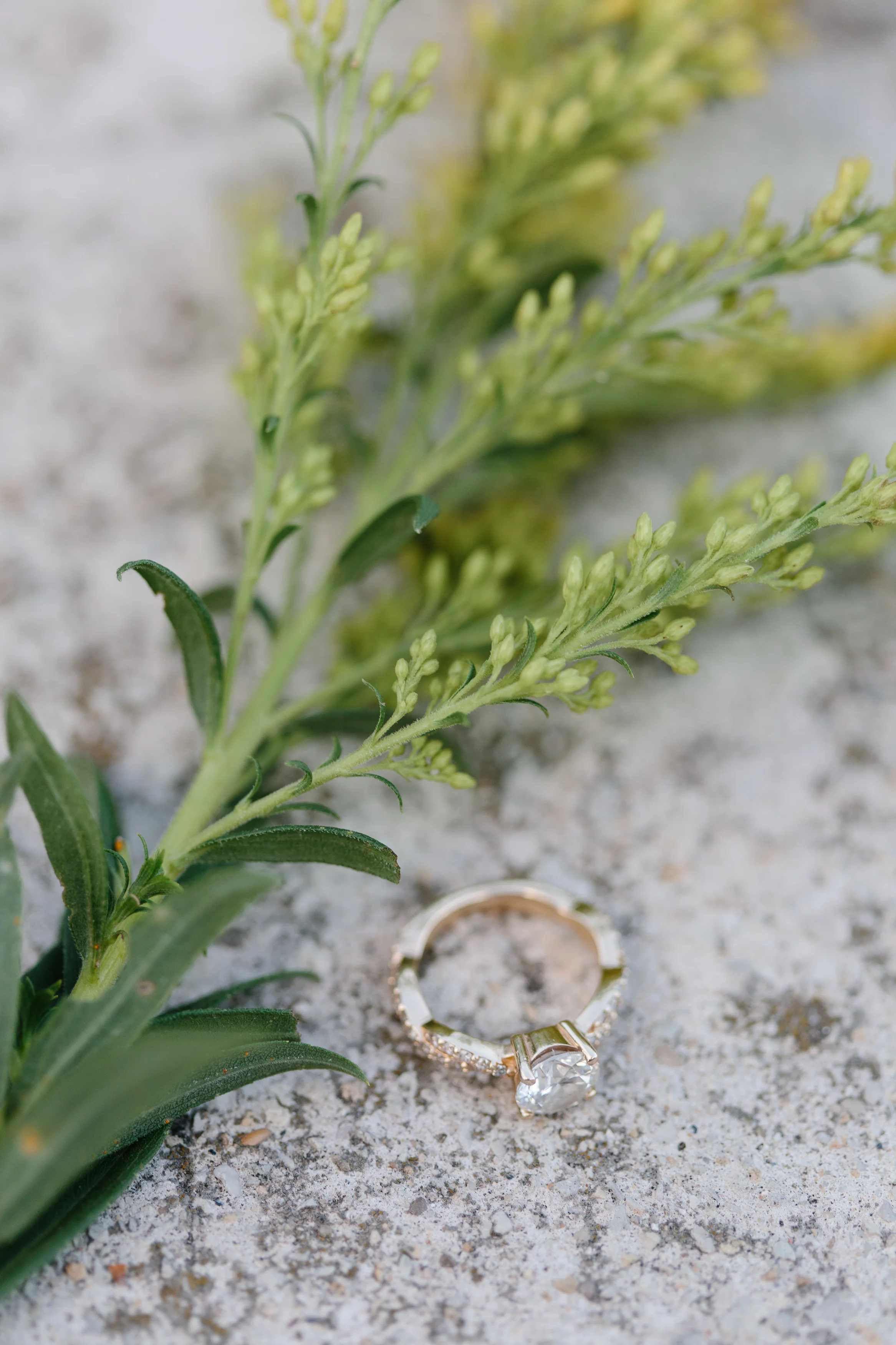 Nicodem Creative-Senour Engagement-Montrose Harbor Chicago-3.jpg