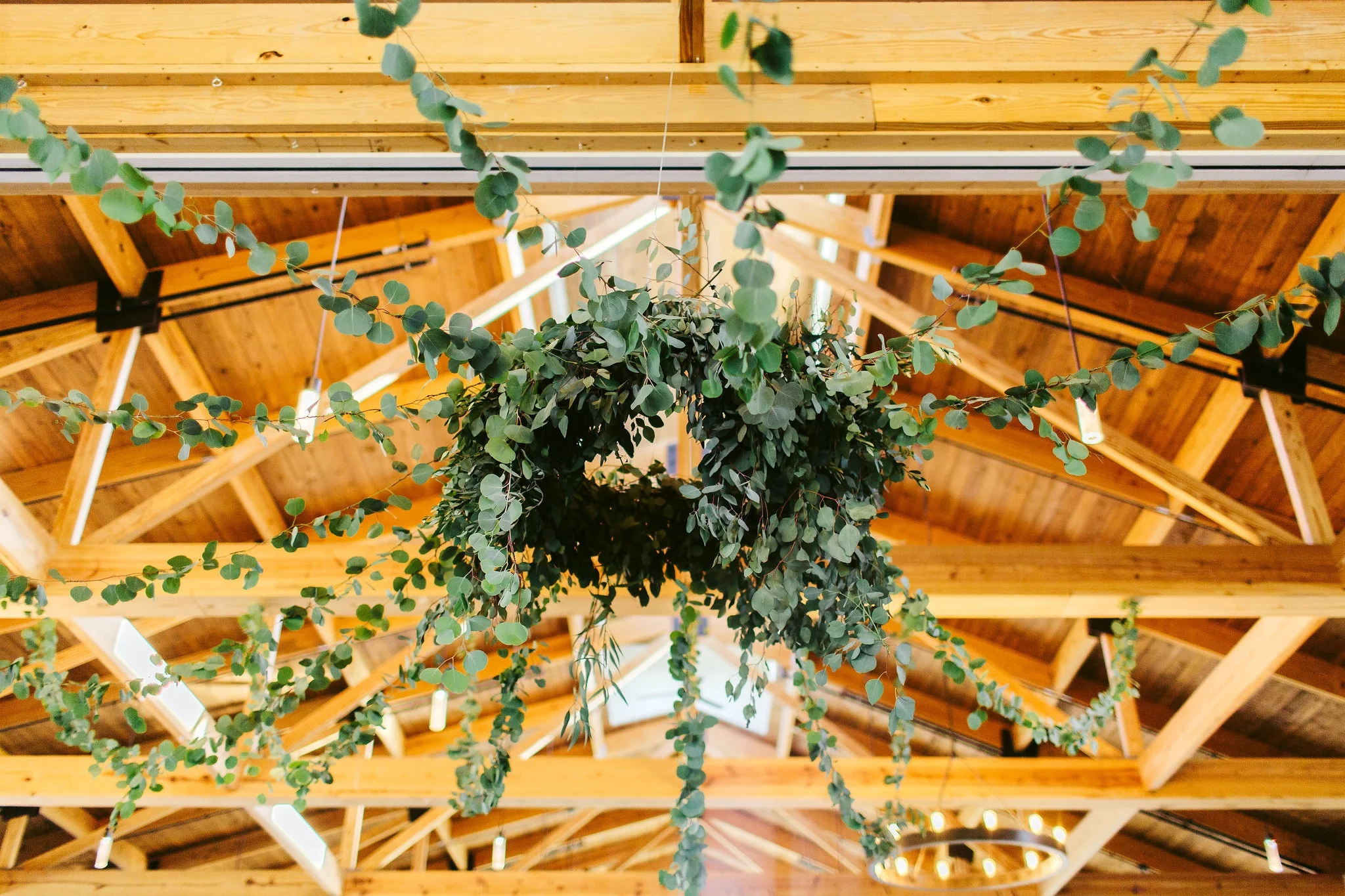 Nicodem-Creative-Wedding-Photography-Champaign-University-of-Illinois-Inspiration-Pear-Tree-Estate-Illini-Hillary-Rae-Events-Flowers-by-Kristine-Meg-and-Matt