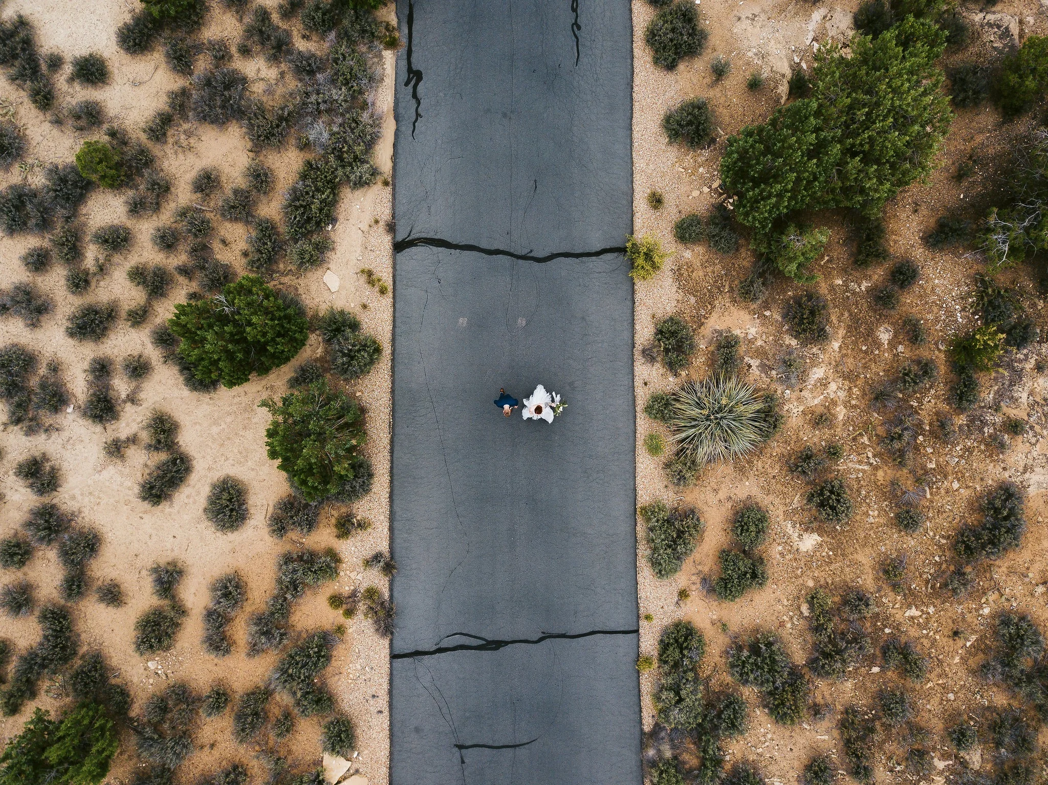 nicodem-creative-small-intimate-wedding-photo-inspiration-zion-national-park-elopement-forevermore-events-by-bloomers-flowers