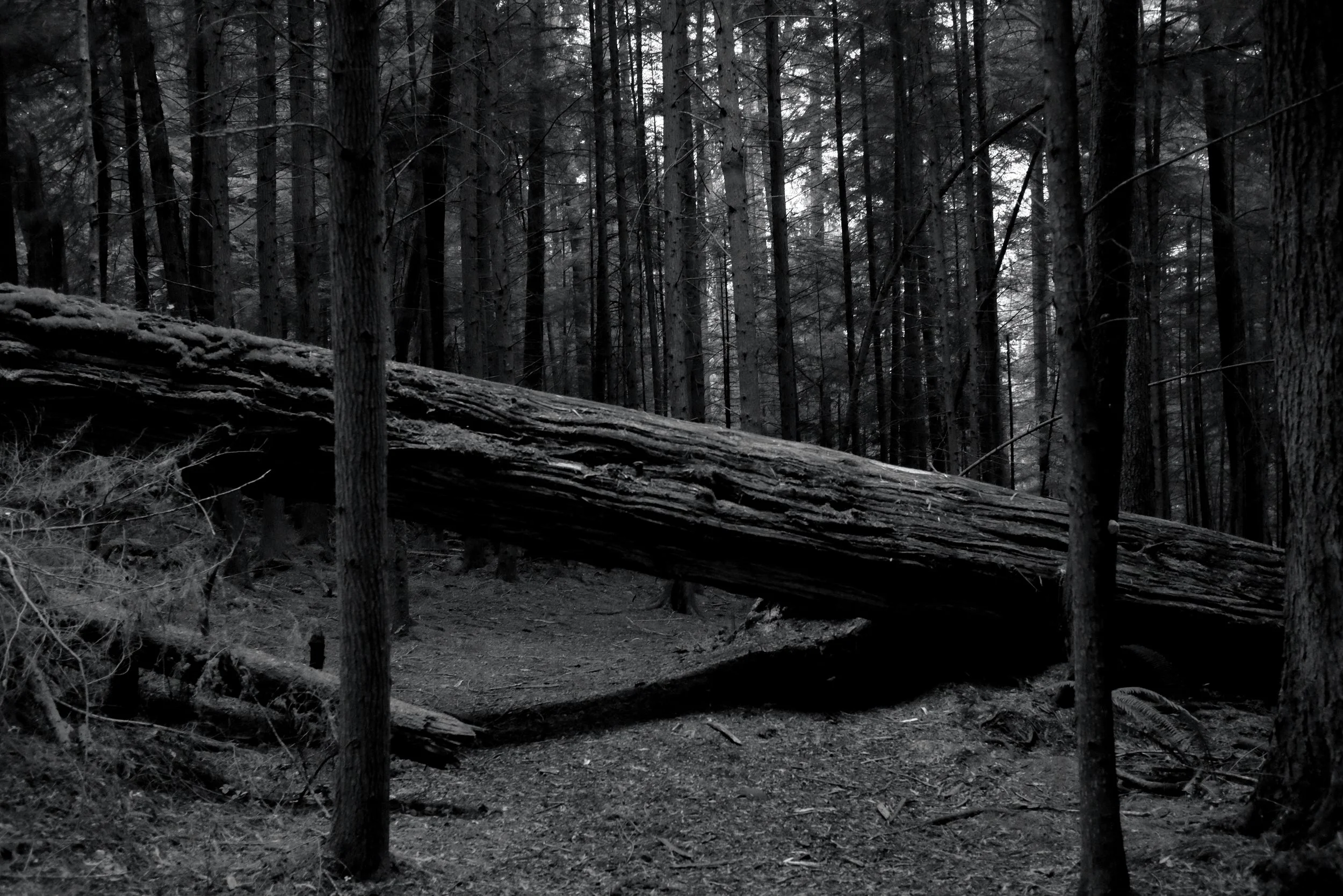 E_DSCF1947.JPG