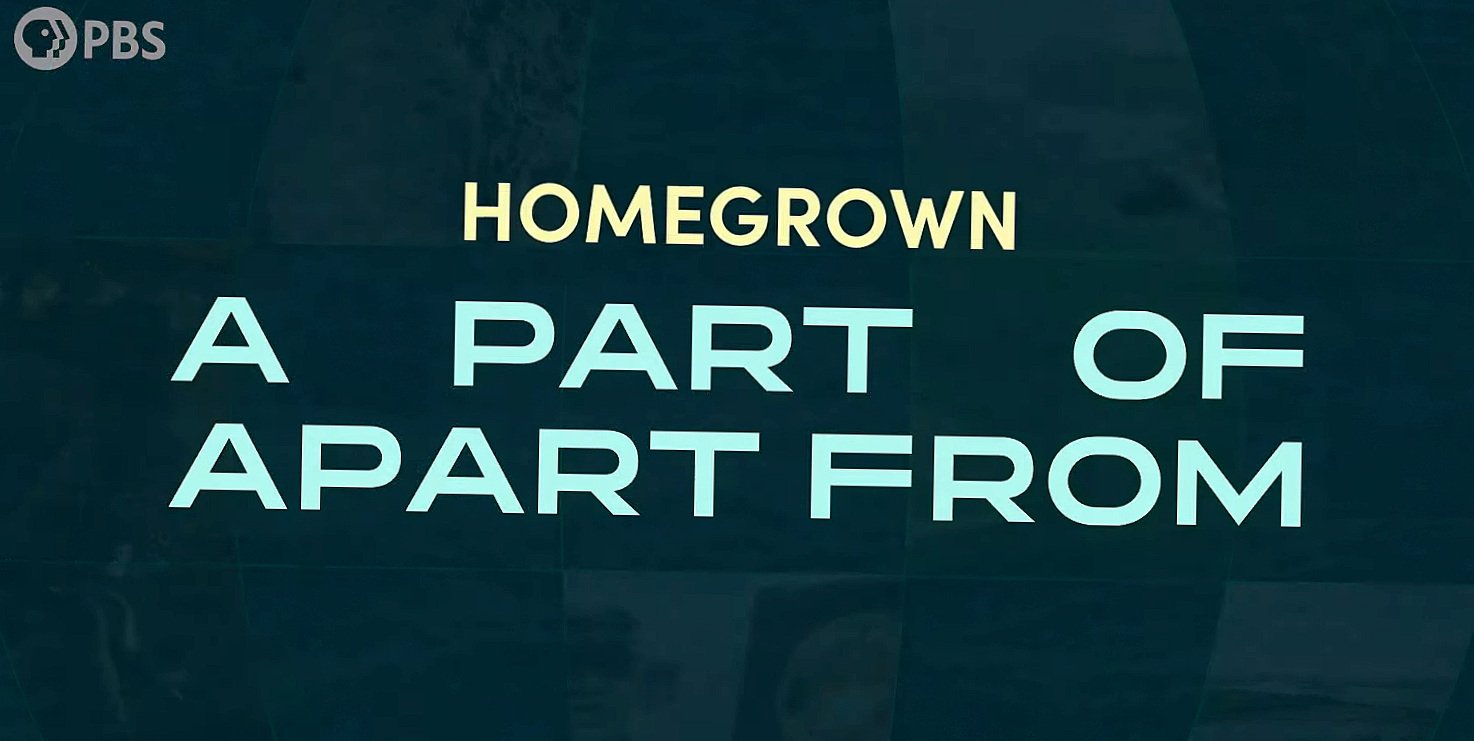 Screen Shot 2025-05-01 at 7.22.06 PM.jpg