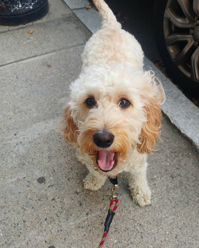 All smiles :) (Or...mid yawn :)