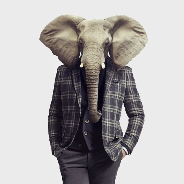 Your argument is irrelephant 