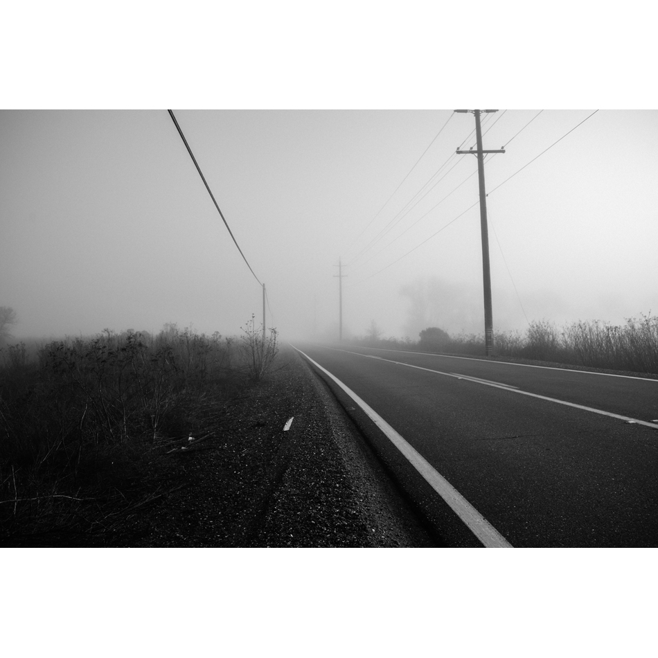 Day 175/365