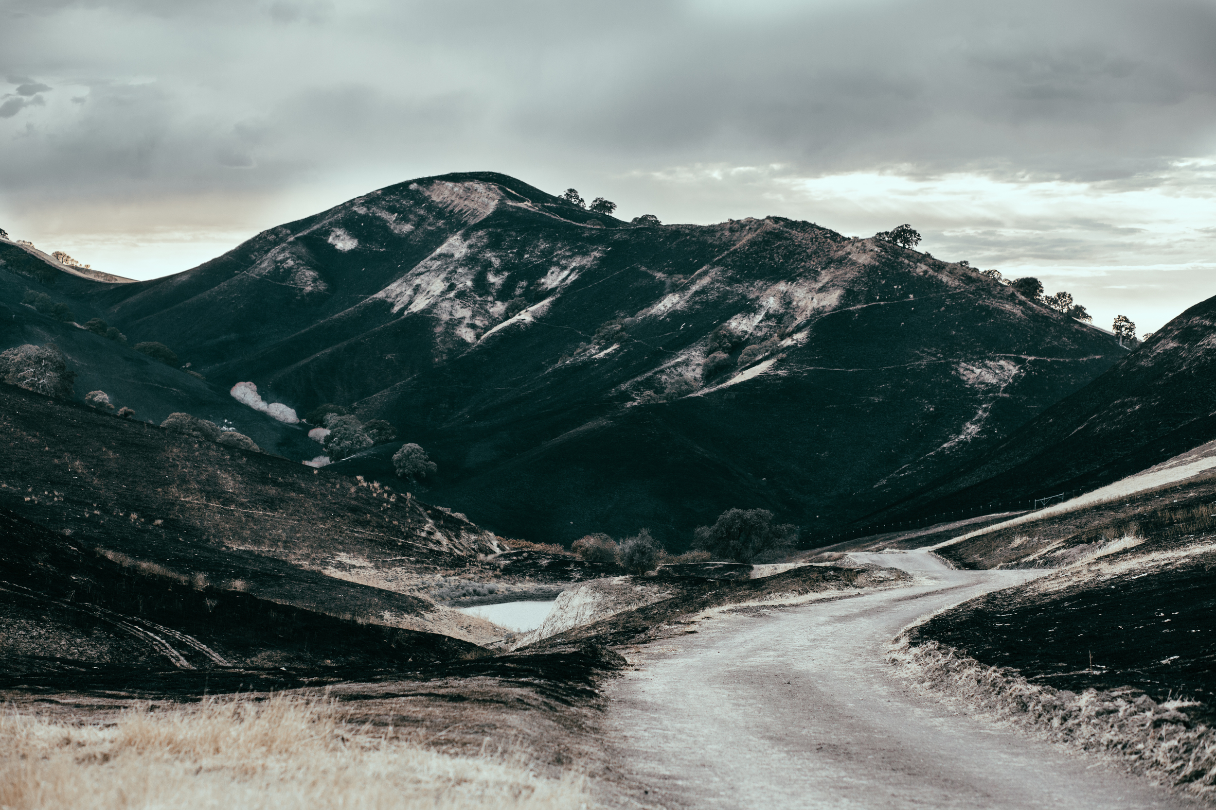 Day 193/365