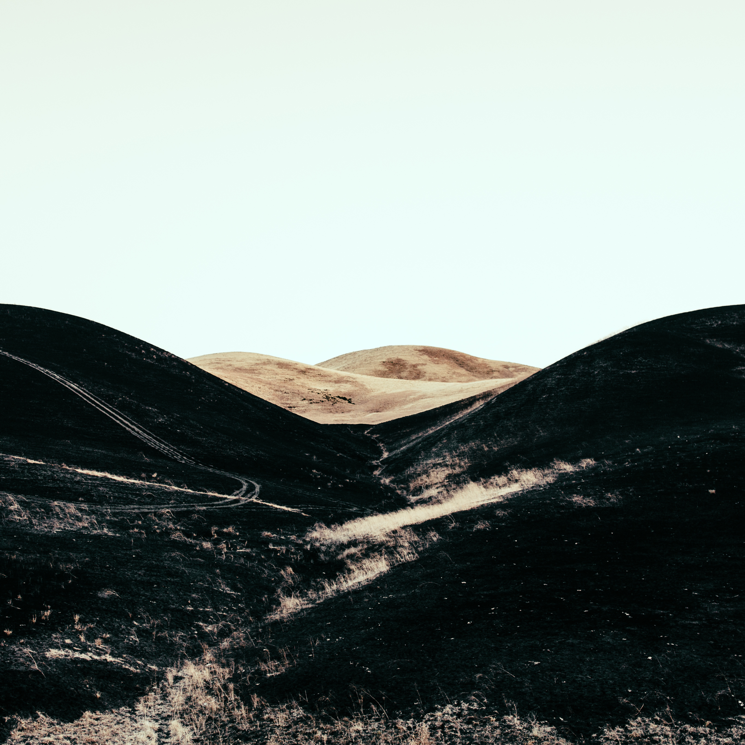 Day 203/365
