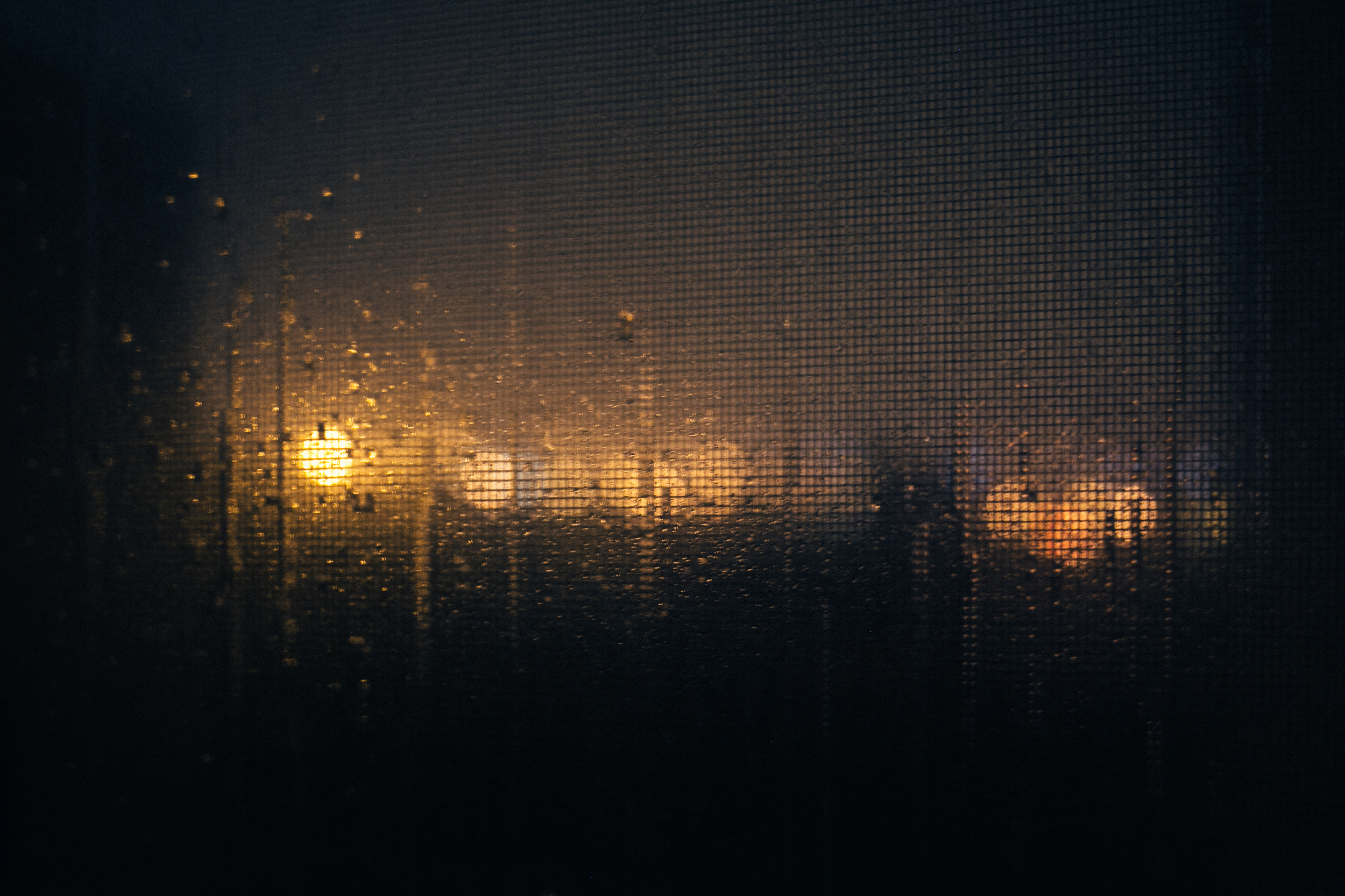 Day 233/365