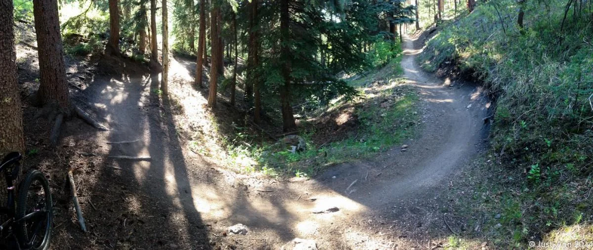 MTB Ride: Lair O' The Bear Park