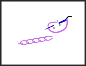 Chain stitch.jpg