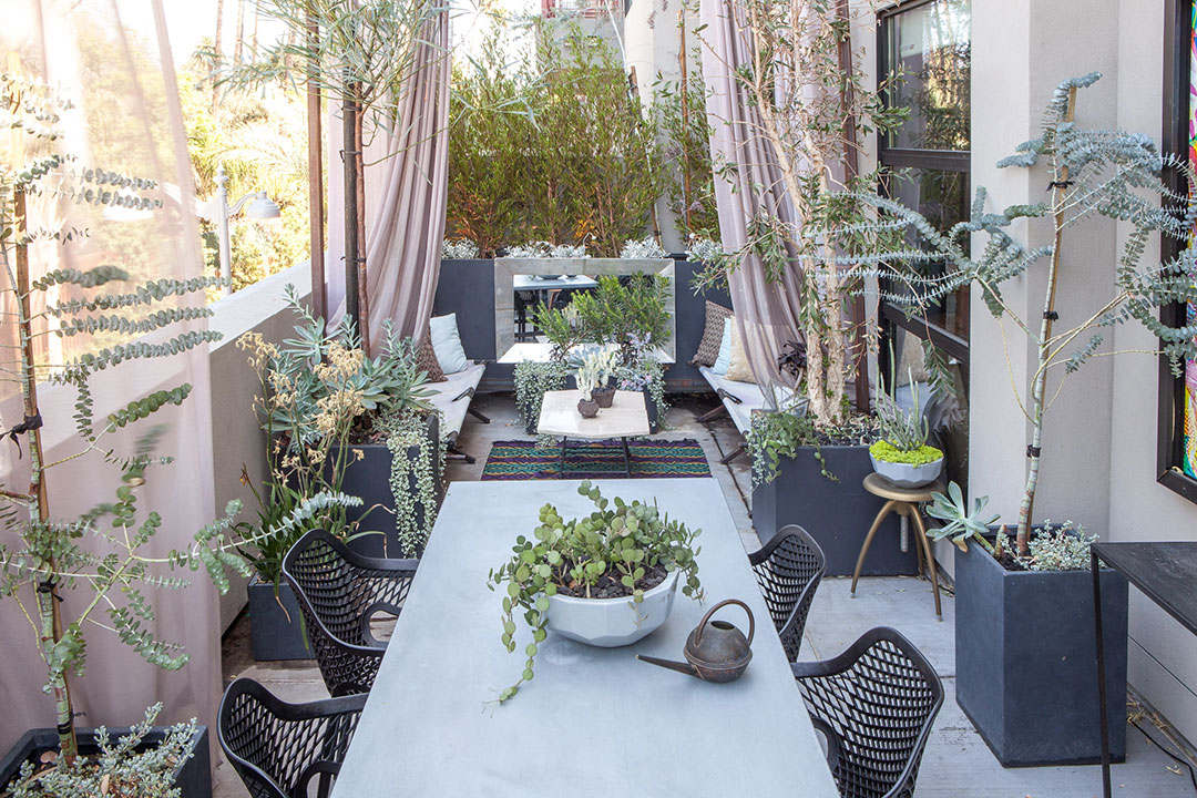 Plantings by We Came In Peace, zinc-topped table by Bobo Intriguing Objects