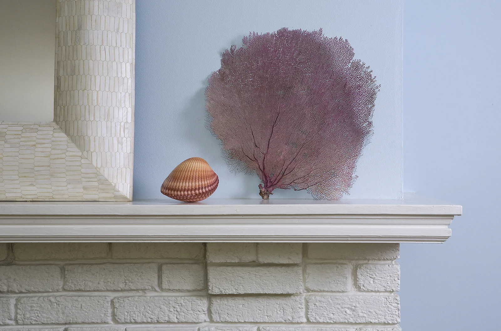 Mandarina Studio :: Boston interior design contemporary bold