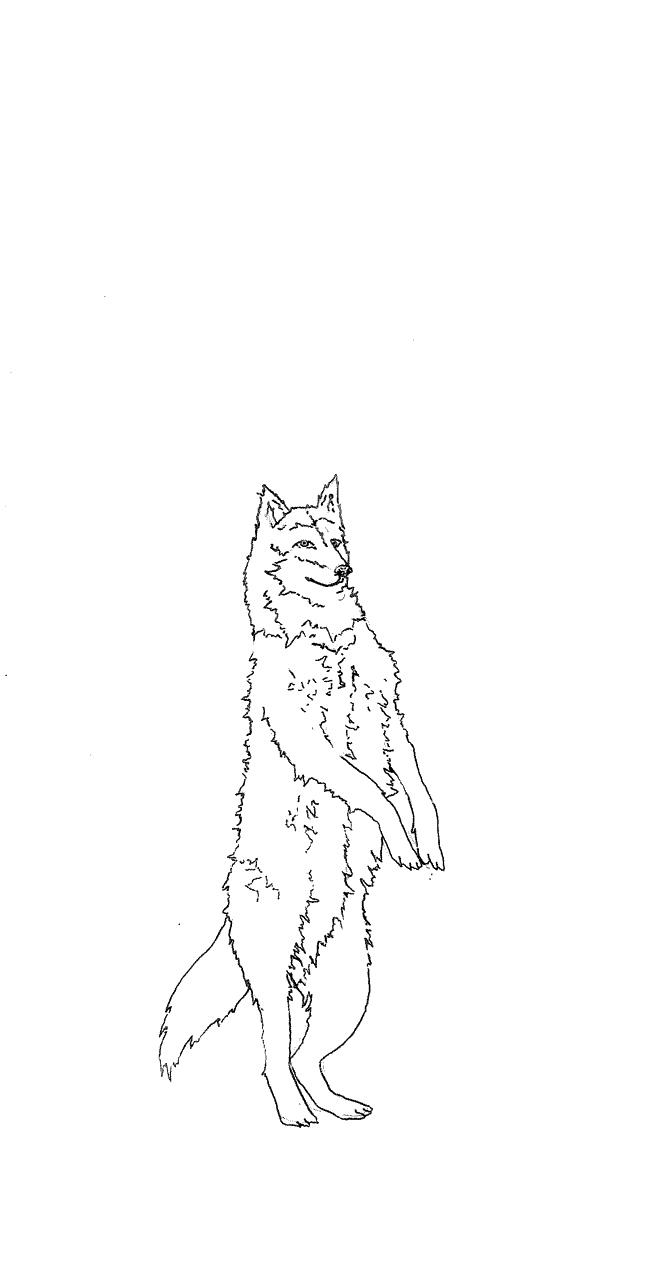 wolf.gif